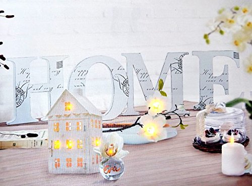 IMAGE HOME ROMANTIQUES 8 LED/DEL 40*30CM - Tinas Collection IMAGE HOME ROMANTIQUES 8 LED/DEL 40*30CM - Tinas Collection