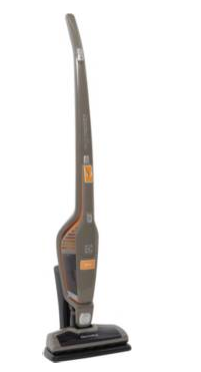 Aspirateur balai ELECTROLUX ZB3002 gris antique Ergorapido Cyclonic 