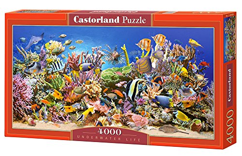 Underwater Life - Puzzle - 4000 pièces - Castorland Underwater Life - Puzzle - 4000 pièces - Castorland