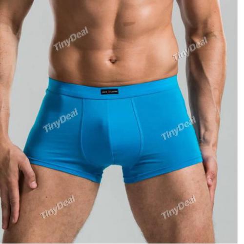 boxer boxer