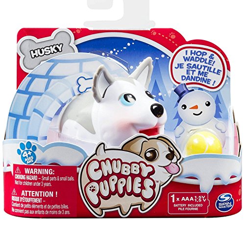 chubby puppies Chiots joufflus seul paquet rauque Husky chubby puppies Chiots joufflus seul paquet rauque Husky