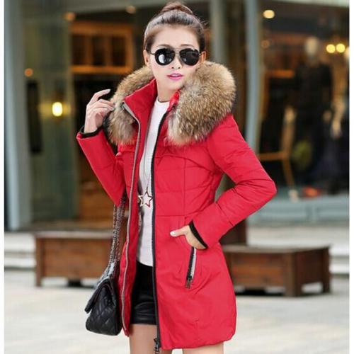 Veste d'hiver Les femmes épaississent le Winter bas Fur Manteau Collar à capuche Femmes Grande Taille Outwear Veste d'hiver Les femmes épaississent le Winter bas Fur Manteau Collar à capuche Femmes Grande Taille Outwear