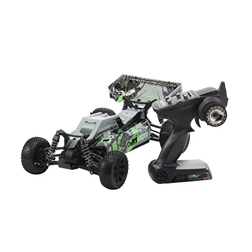 DIRT HOG KYOSHO RC 1/10 electric