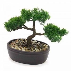 Bonsai Pot Ceramique H.23cm