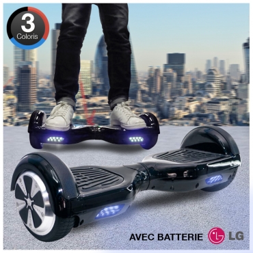  Gyropod - Batterie LG