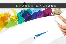 lot de 10 éponges magiques