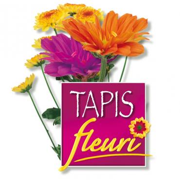 Tapis Fleuri, Tapis Fleuri,